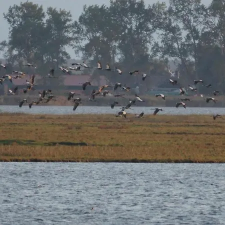 Lindenstr_32 Whg 4 Lejlighed *